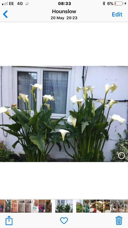 House Appartement Hounslow Buitenkant foto